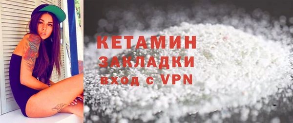 дживик Ельня