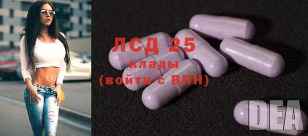 сатива Елизово