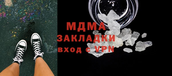 дживик Ельня
