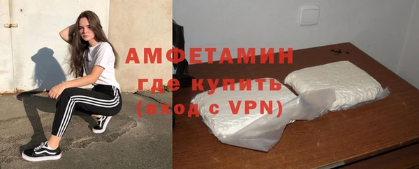 сатива Елизово