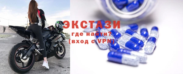 дживик Ельня