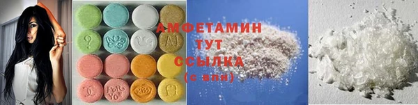 дживик Ельня