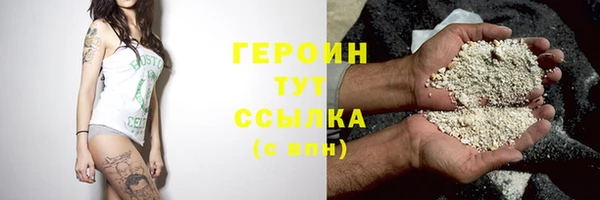 дживик Ельня