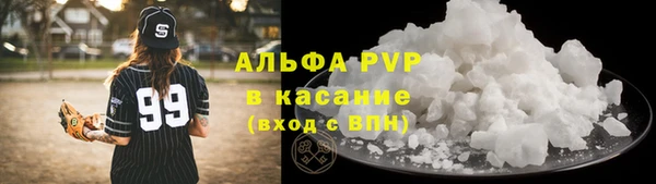 сатива Елизово