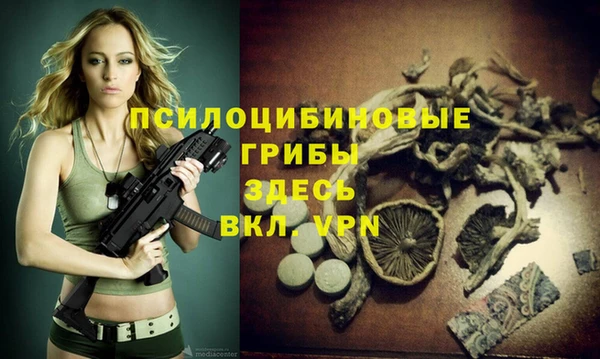 ешки Елабуга