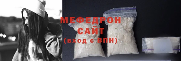 дживик Ельня