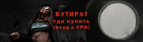 дживик Ельня