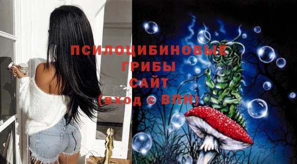 дживик Ельня