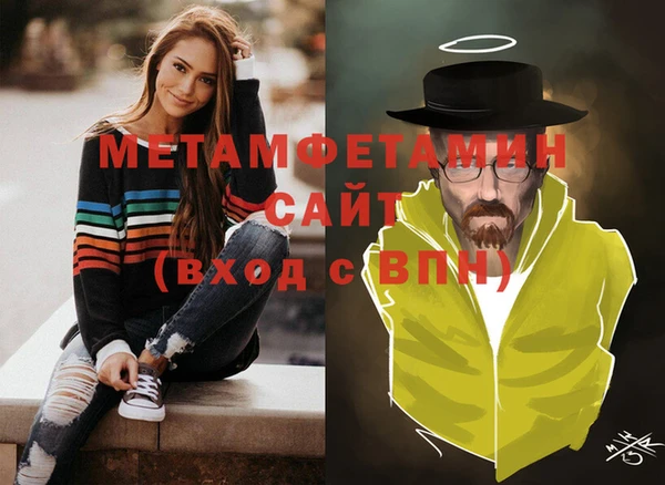 дживик Ельня