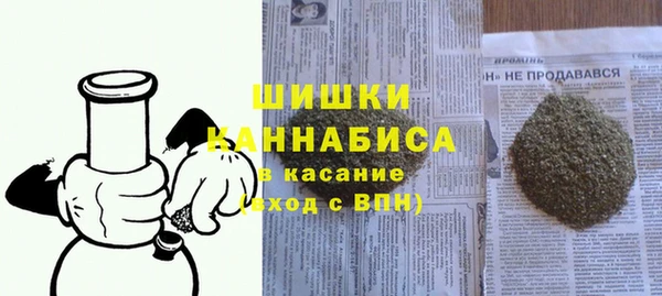 сатива Елизово