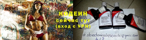 дживик Ельня