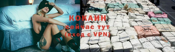 сатива Елизово