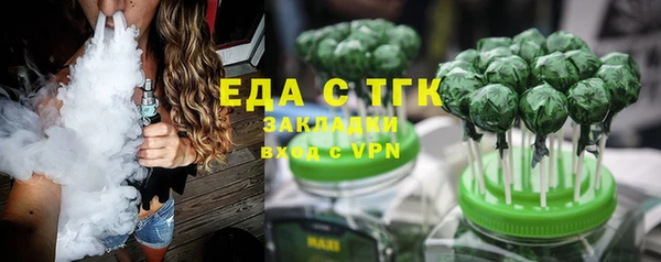 дживик Ельня