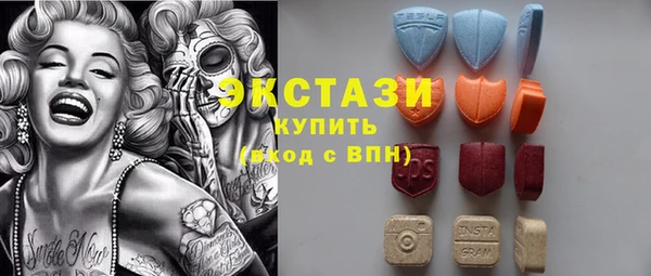 дживик Ельня