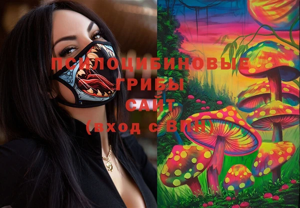 ешки Елабуга