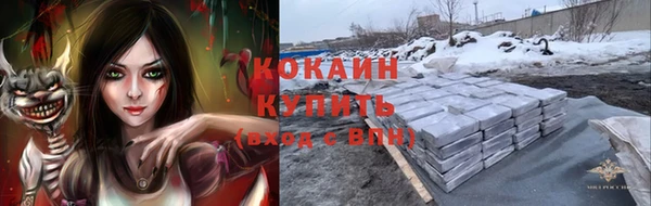 дживик Ельня